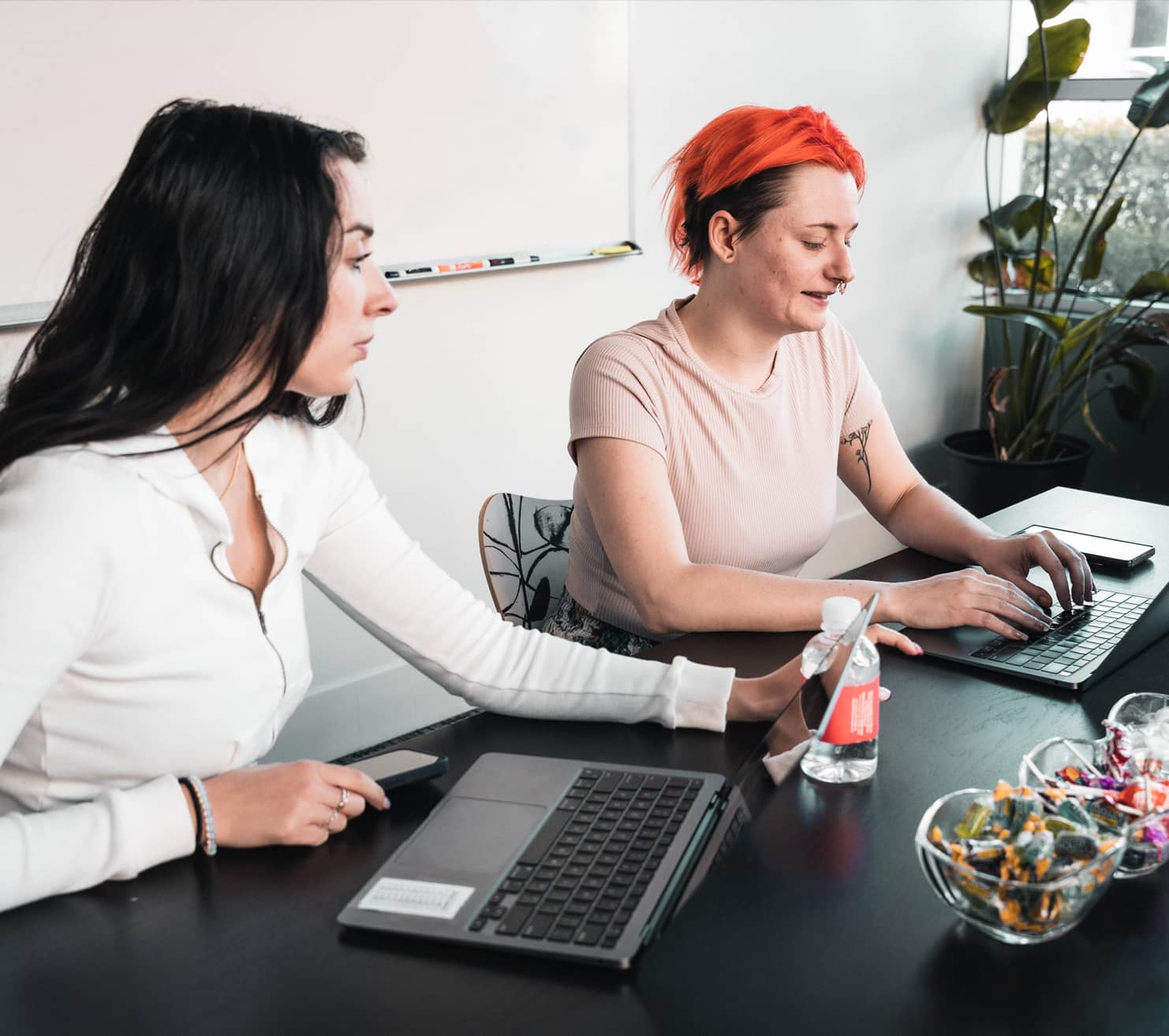 Viva and Veronica working